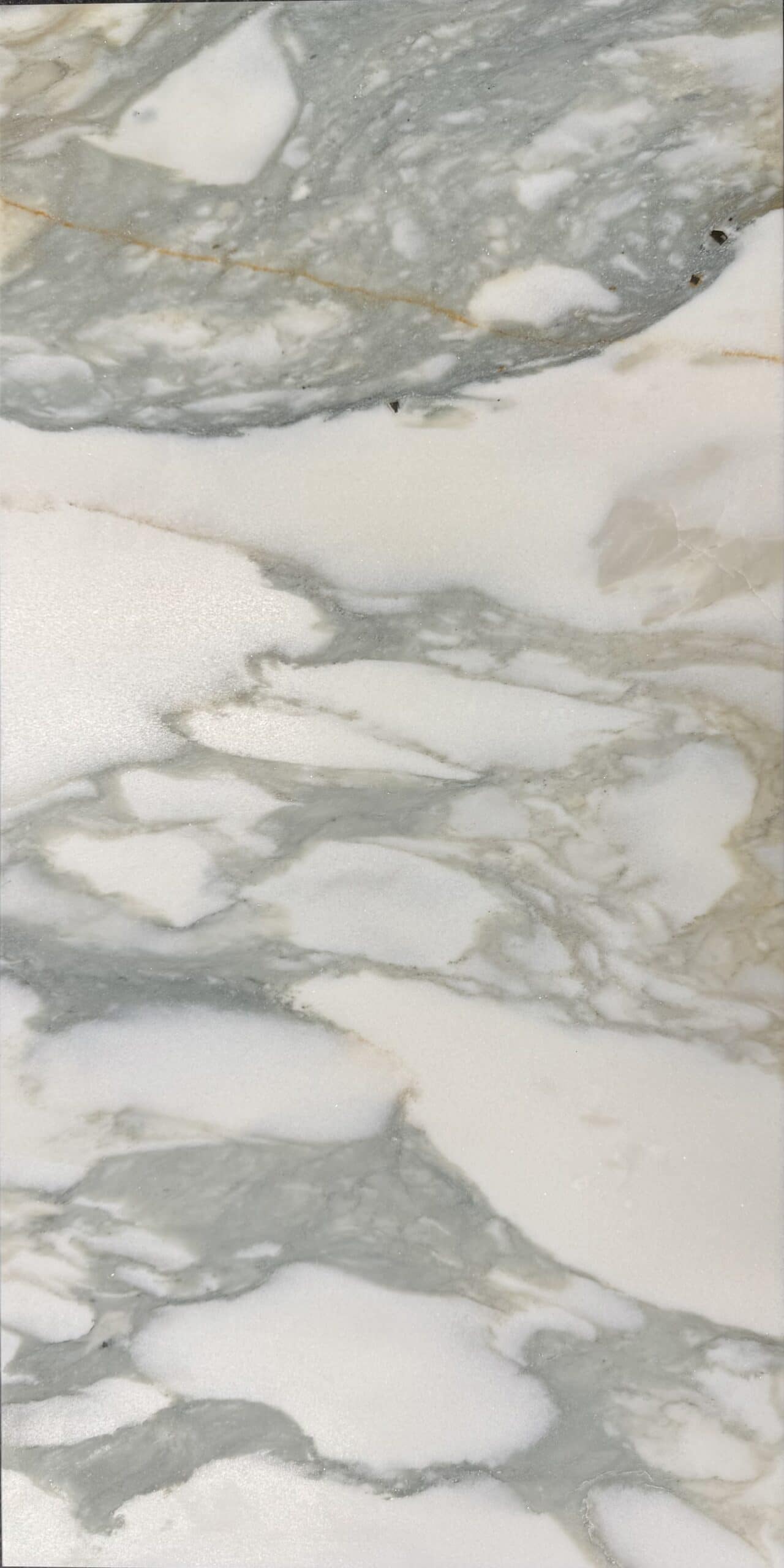 Calacatta Verde Gold