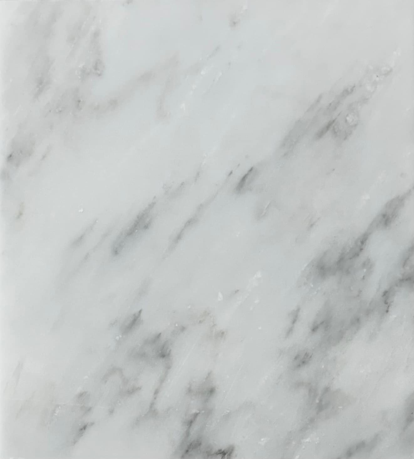 Dynasty White