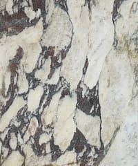 Calacatta Viola