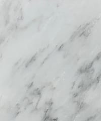 Dynasty White