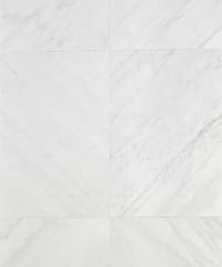 Dynasty White
